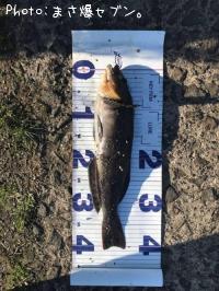 �����ʥ�