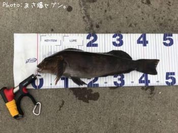 �����ʥ�