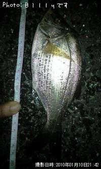 �����ʥ�