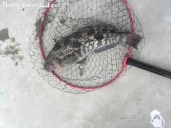 �����ʥ�