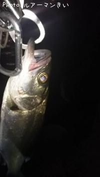 �����Х�