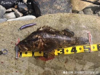 �����Υ���Х�