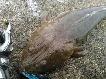 �ƣ��������