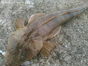 �ƣ��������