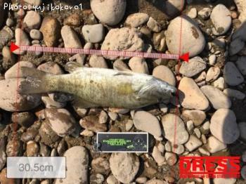 ¥Ö¥é¥Ã¥¯¥Ð¥¹