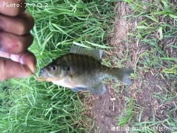 ¥Ö¥ë¡¼¥®¥ë