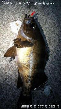 ��Х롢���