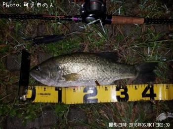 ¥Ö¥é¥Ã¥¯¥Ð¥¹