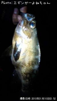 ��Х롢���