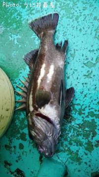 �����ʥ�