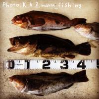 �٥å�������