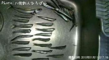 »ª¡¡¥È¥¦¥´¥í¥¦¥¤¥ï¥·¡¡¥«¥¿¥¯¥Á