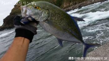 ¥«¥¹¥ß¥¢¥¸