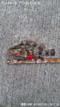 ¥¿¥±¥Î¥³¥á¥Ð¥ë