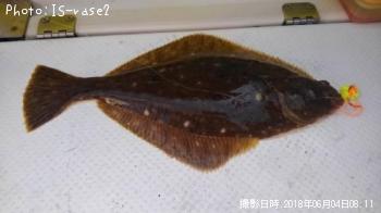 ¥¤¥·¥¬¥ì¥¤