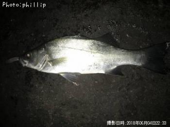 �ҥ饻����