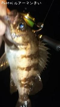 �ۥ����åסʥͥ���