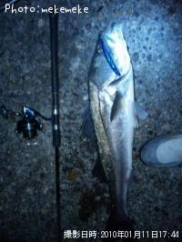 �����Х�