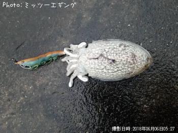 ����䥱����