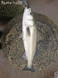 �����Х�