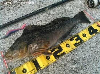 �����ʥ�