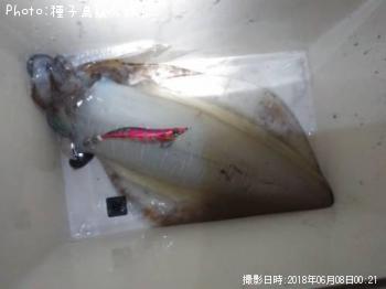 �����ꥤ��