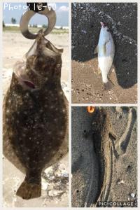 ������饳�����