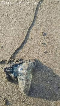 ¥«¥Ä¥ª¥Î¥¨¥Ü¥·