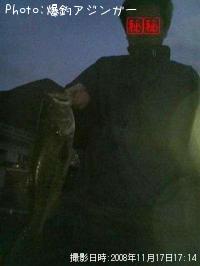 �֥�å��Х�