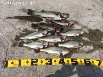 ��������������Х���¾