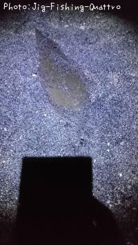 �����ӥ��