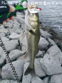 �����Х�