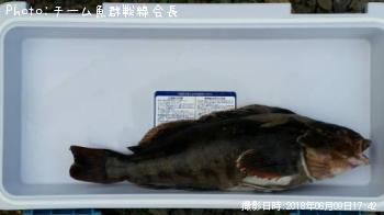 �����ʥ�