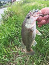 ¥Ö¥é¥Ã¥¯¥Ð¥¹