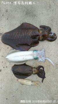 �����ꥤ��