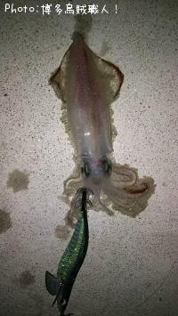 �����ꥤ��