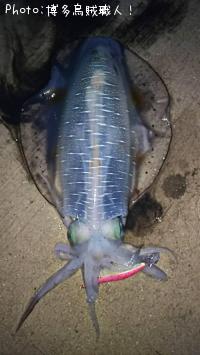 �����ꥤ��