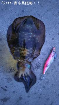 �����ꥤ��