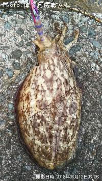 ���ߥʥꥤ��