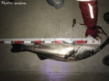 �������������Х�