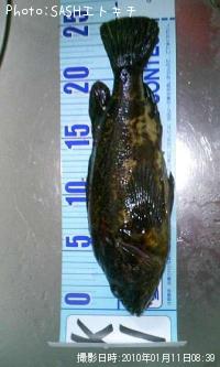 �����Υ���Х�