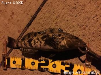 �����ʥ�