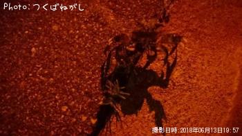 �⥯������