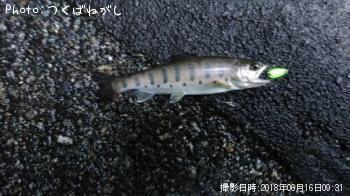 ��ޥ�