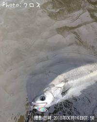 �����Х�