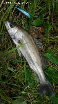 �����Х�