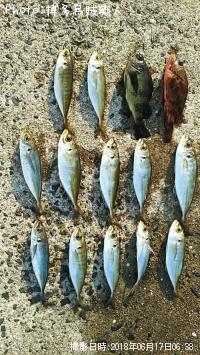 ��������Х롢������