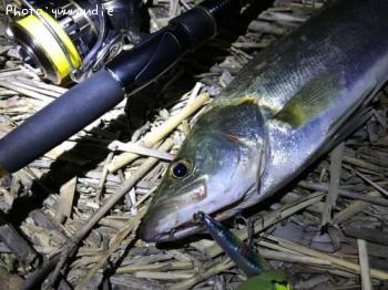 �����Х�