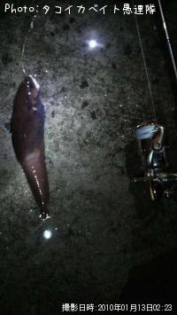 �������������ʥ�