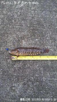 �����ʥ�